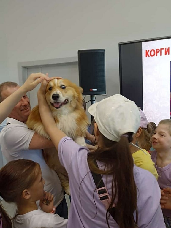 Квиз «Корги – королевская собака»